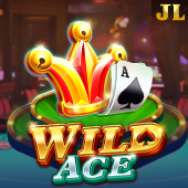 Wild Ace Crazy Casino slot